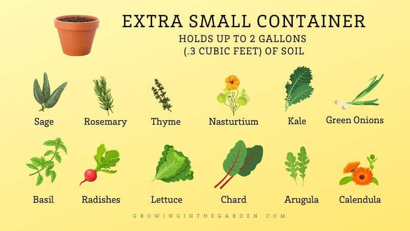 Guide to Container Gardening Sizes: Which Size Container Should I Use?