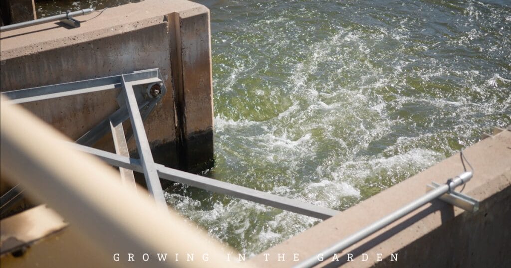 How to Water Your Garden With Flood Irrigation