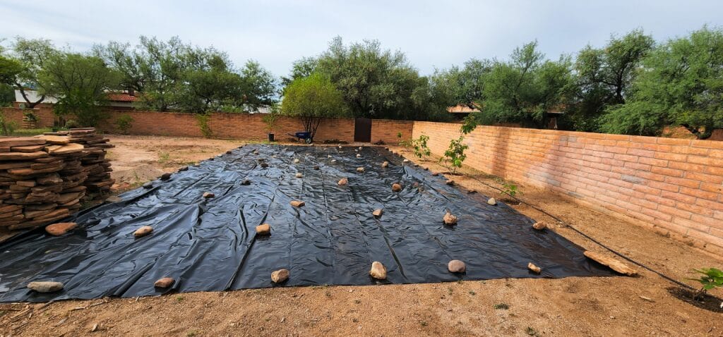 Sunken Garden Beds: Water-Wise Gardening in the Desert