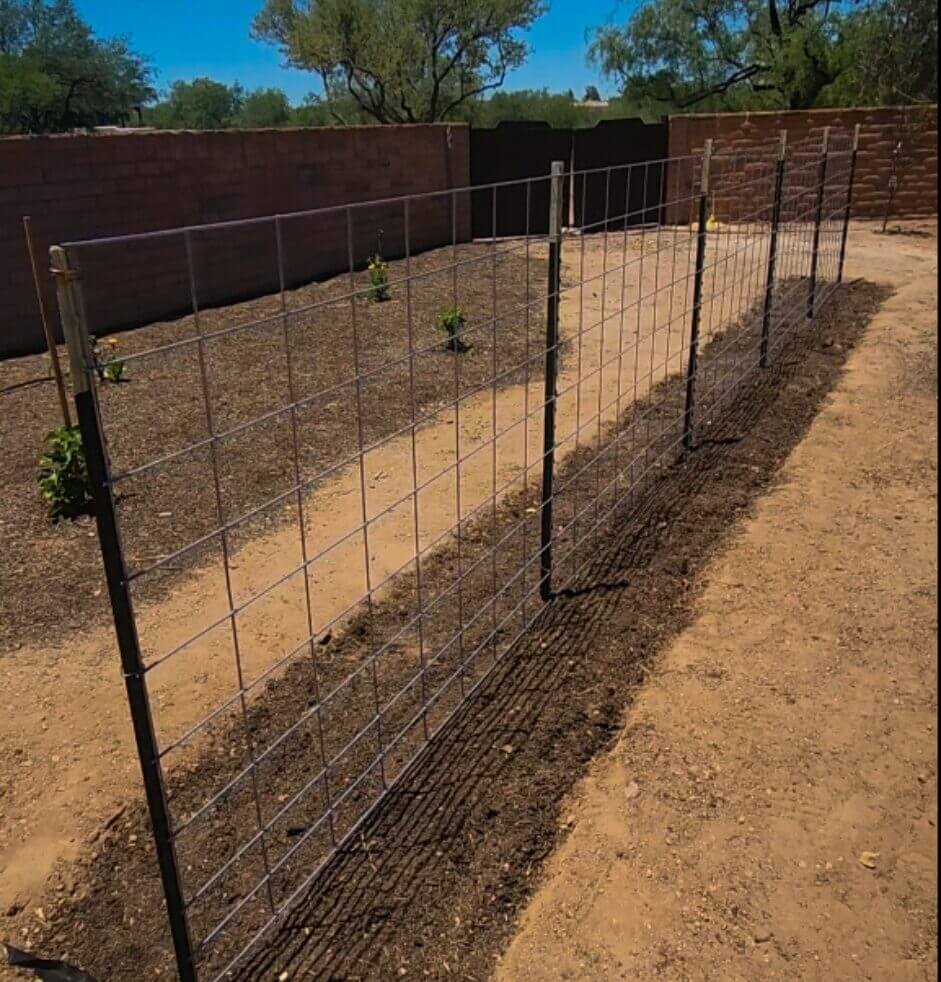 Sunken Garden Beds: Water-Wise Gardening in the Desert - Adding More Sunken Beds: Long Basin Beds