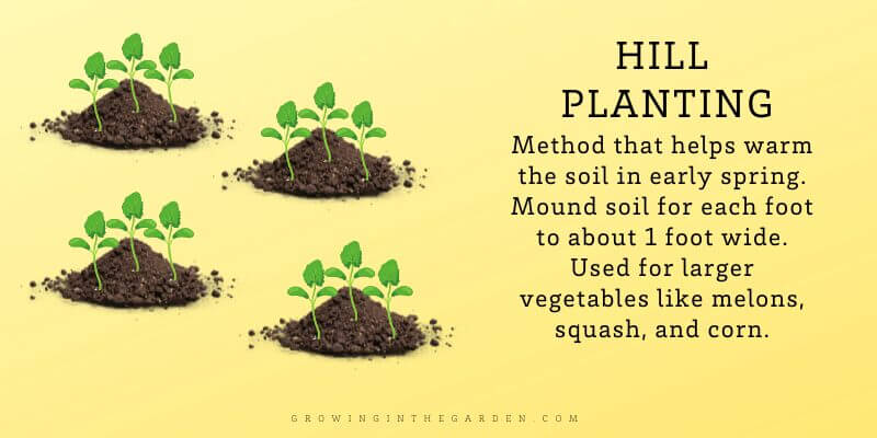 hill Planting Method that helps warm the soil in early spring. Mound soil for each foot to about 1 foot wide. Used for larger vegetables like melons, squash, and corn.