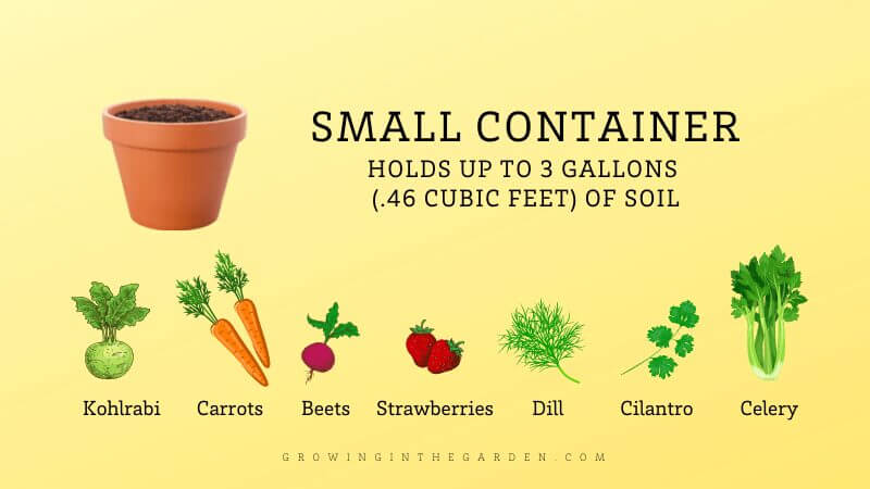 Guide to Container Gardening Sizes: Which Size Container Should I Use?