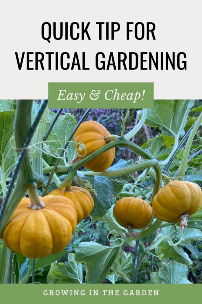 Add Vertical Space to Your Garden in 15 Seconds!