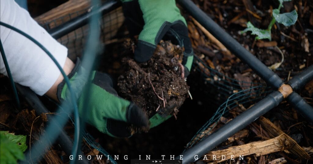 10 New Gardener Mistakes: What To Do Instead