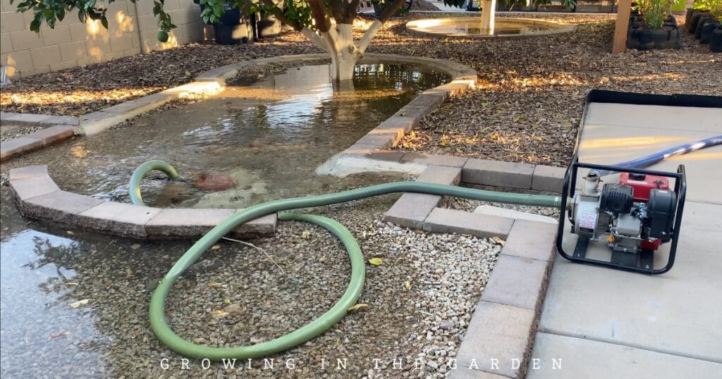 How to Water Your Garden With Flood Irrigation