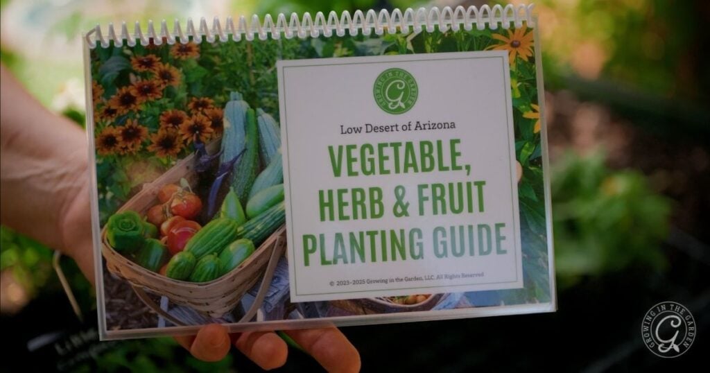 A hand holds a spiral-bound booklet titled Low Desert of Arizona Vegetable, Herb & Fruit Planting Guide, featuring baskets of fresh produce—perfect for anyone growing in an elevated garden bed or dealing with hot climates.
