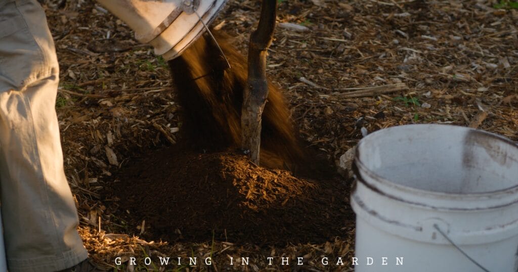 4-Step Permaculture Method for Feeding Fruit Trees