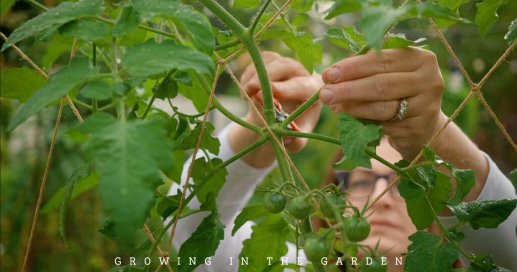 10 New Gardener Mistakes: What To Do Instead