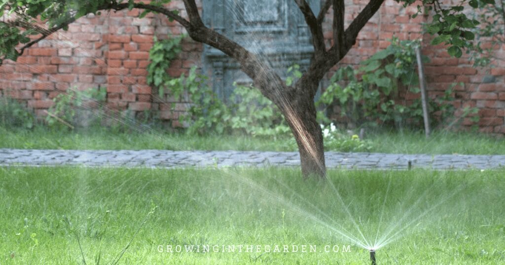 Avoid growing trees in turf areas if possible 