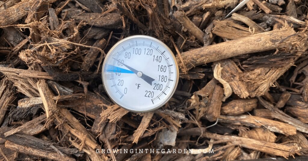 5 Reasons to Replace Grass With Water-Saving Groundcovers