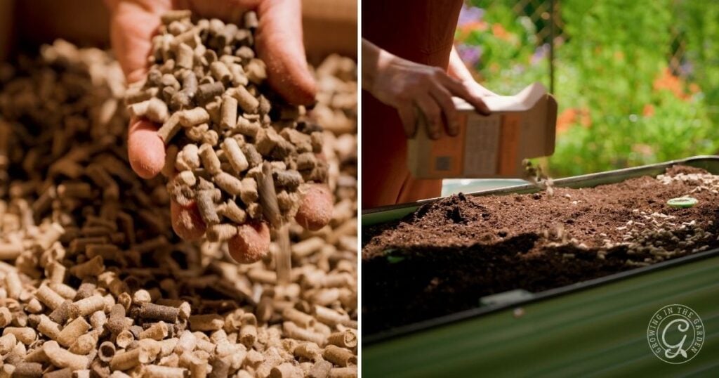 Close-up of a hand holding pellet fertilizer on the left; on the right, a person sprinkles fertilizer onto soil in an elevated garden bed, ideal for gardening in hot climates.