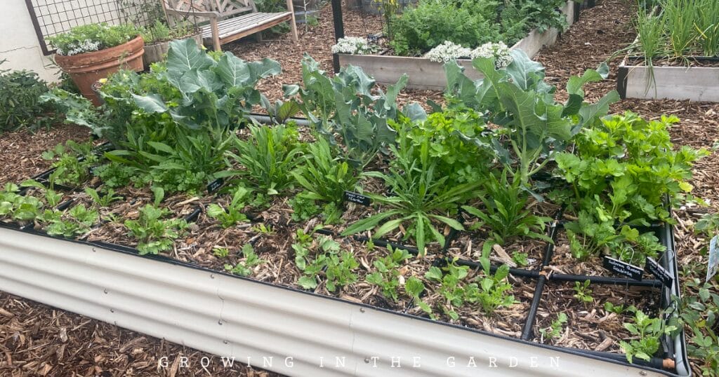 Are metal beds too hot? 