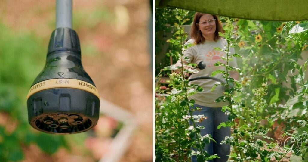 Close-up of a garden hose nozzle and a woman watering plants in a lush garden, demonstrating careful gardening during a heatwave.