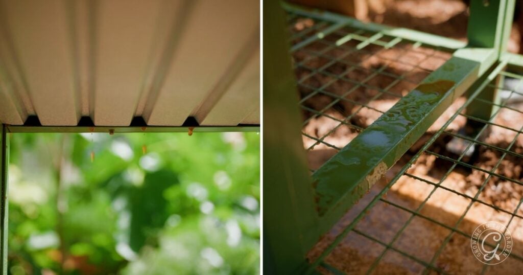 Split image: Left side shows water dripping from a corrugated metal roof, with a blurred green garden in the background. Right side features an elevated garden bed—a smart gardening tip for making the most of small spaces above the ground.
