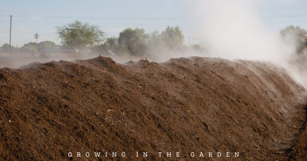 4-Step Permaculture Method for Feeding Fruit Trees