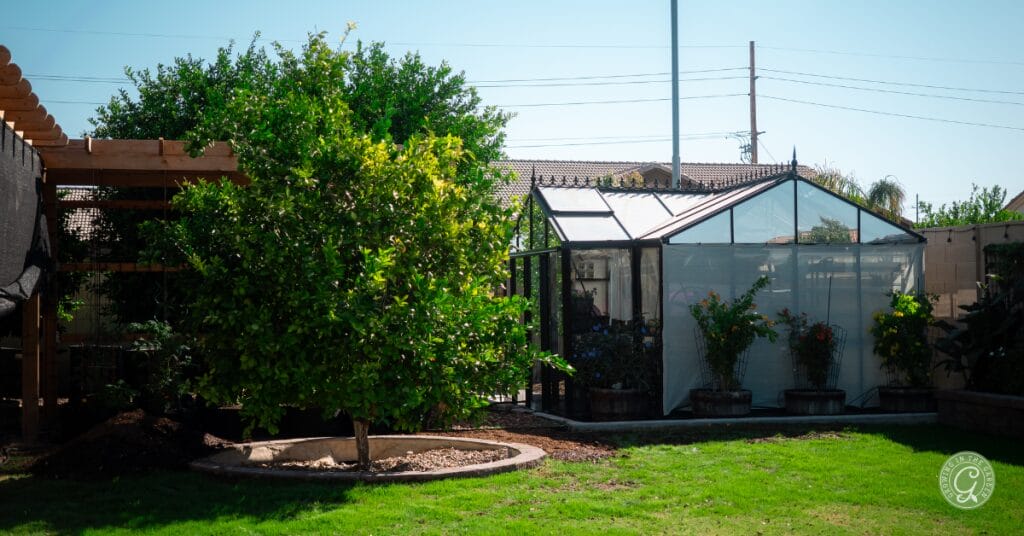 Benefits of having a greenhouse