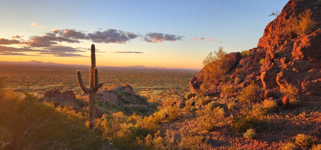 Sunken Garden Beds: Water-Wise Gardening in the Desert
