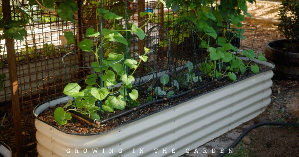 How to Water Your Garden With Flood Irrigation