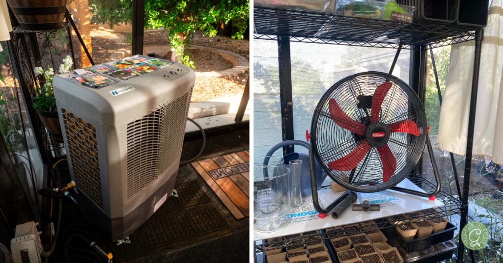 Greenhouse Tips for Hot Summer Climates