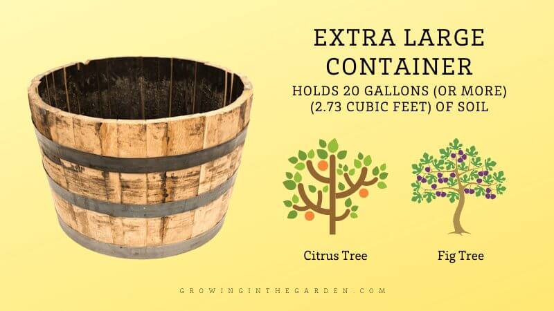 Guide to Container Gardening Sizes: Which Size Container Should I Use?