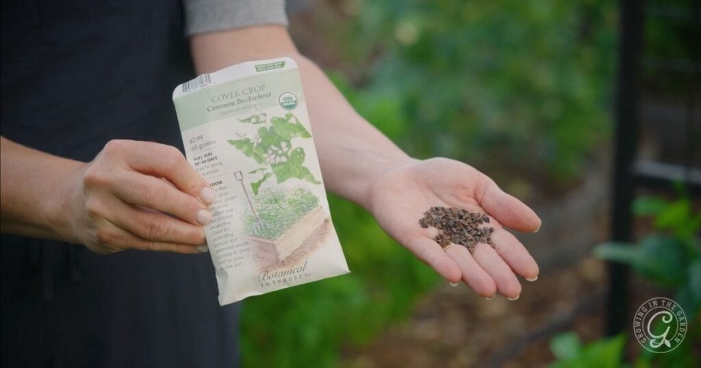 A person holds a seed packet in one hand and pours seeds into the other, preparing to plant in a hot climate summer garden.