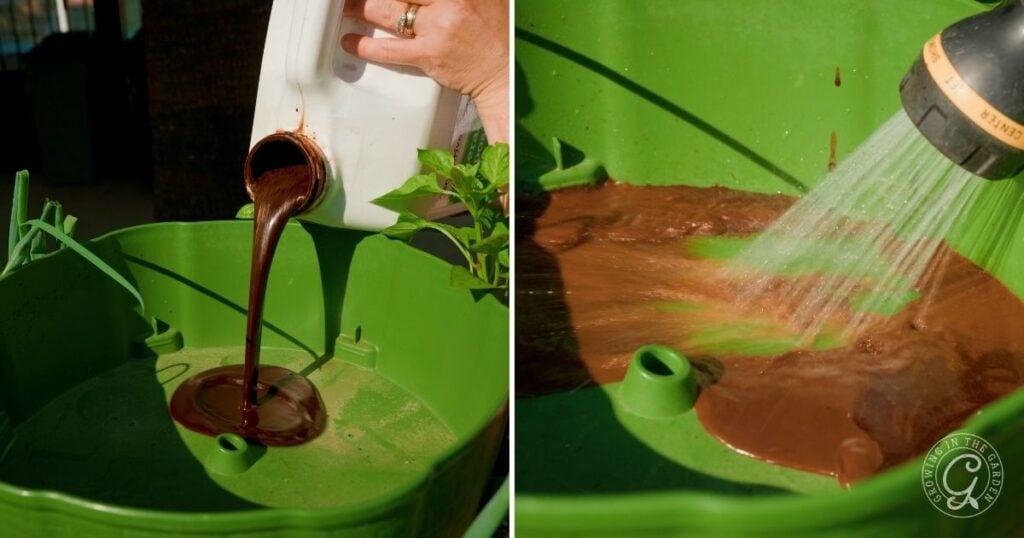 A hand pours liquid fertilizer into a green container in the first image, while water is sprayed over the mixture in the second—demonstrating essential greenstalk gardening tips for success.