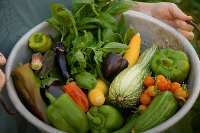 Summer Gardening in Arizona featured image