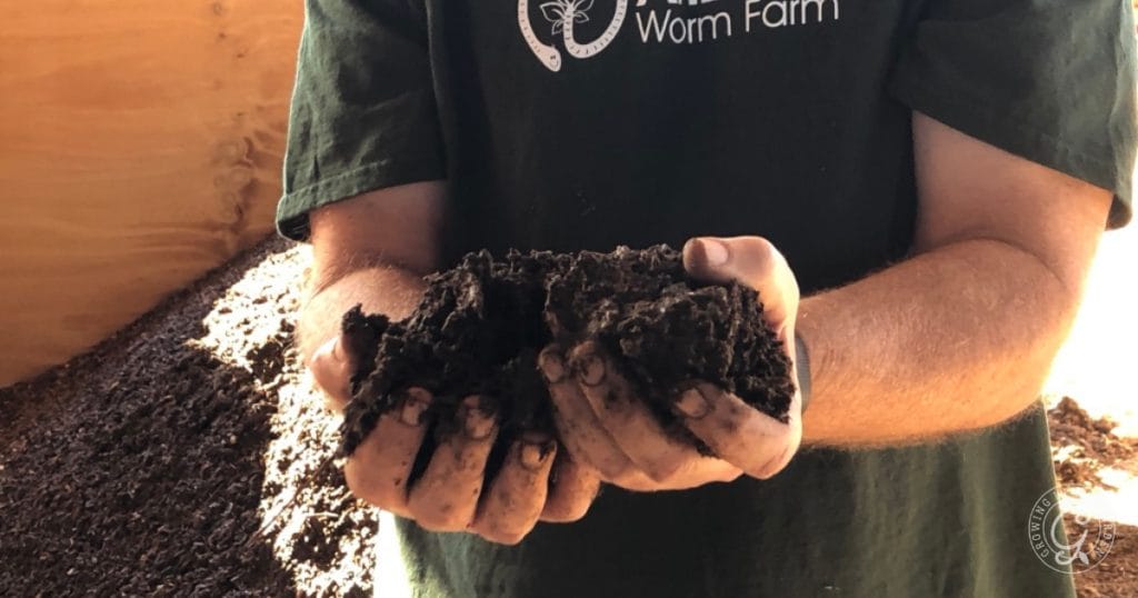 Why Add Worms to Your Garden: Benefits of Worm Castings