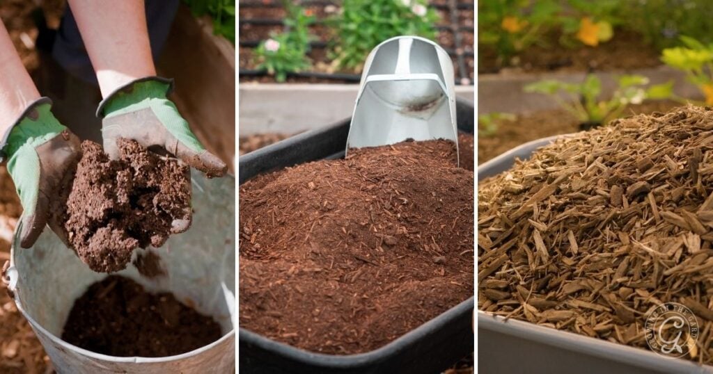 Three panels show: gloved hands holding compost, a wheelbarrow of shredded mulch with a scoop, and a pile of wood chips outdoors, illustrating types of garden mulch and how to fertilize citrus for healthy growth.