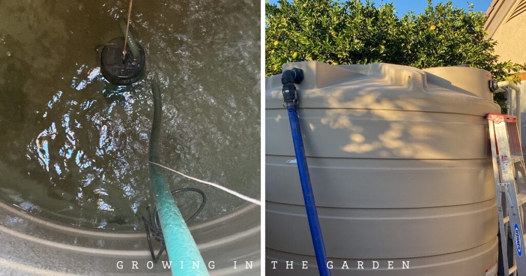 How to Water Your Garden With Flood Irrigation