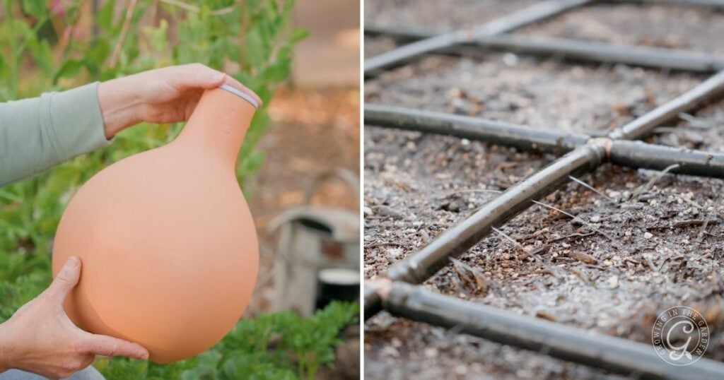 Left: A person holds a terracotta olla—a traditional watering method used in learning how to plant tomatoes. Right: Drip irrigation tubes laid out on garden soil, offering modern ways to keep tomato plants hydrated.