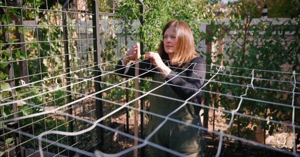 Add a Second Layer (Optional)