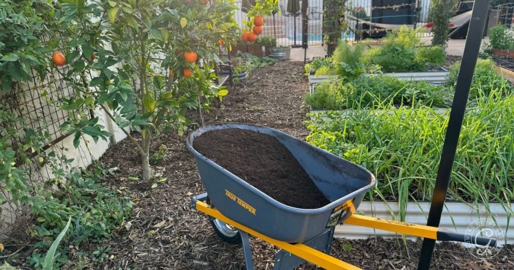 Amending Soil with compost to prepare beds for planting