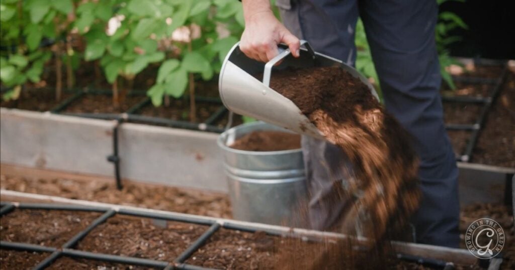 Amending Soil with compost to prepare beds for planting (2)