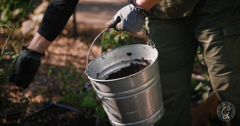 Amending Soil with worm castings to prepare beds for planting