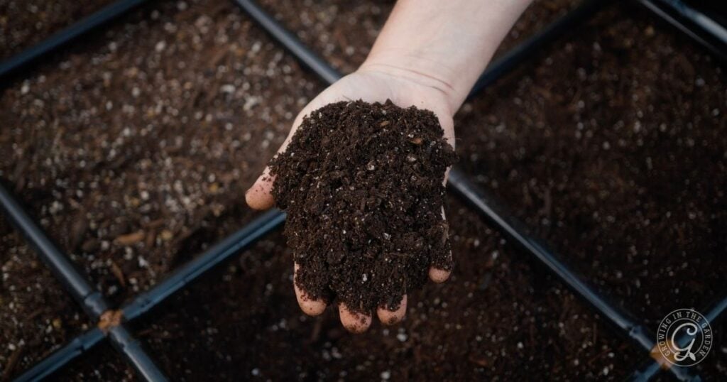 Amending Soil_ Preparing Your Garden Before Planting