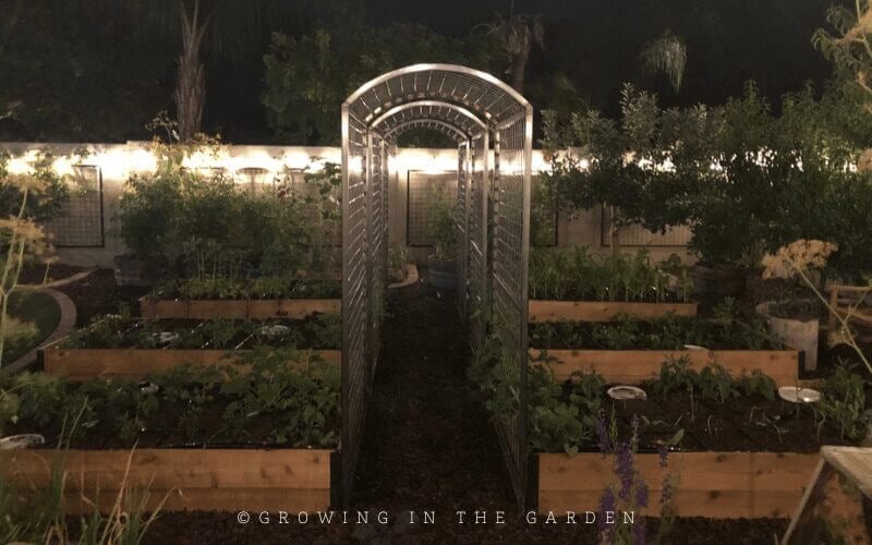 Overall I am very happy with the arch walkway trellises, but experience is the best teacher, and there are a couple of things I would change if I could do it again.