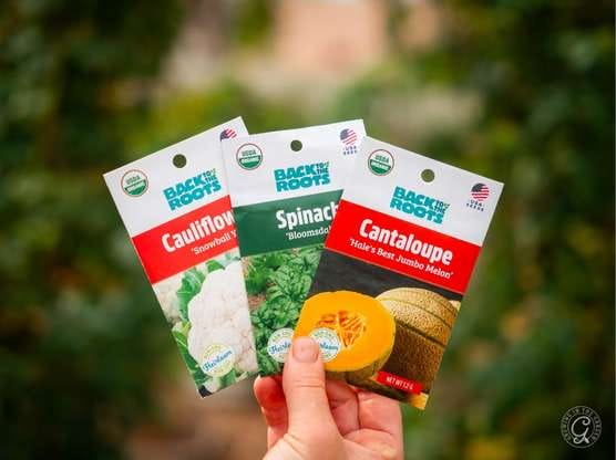 Back to the Roots Seeds featured image