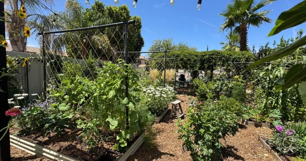 Lush backyard garden with trellises, flowers, and vegetables showcases thoughtful backyard garden design under a sunny blue sky.