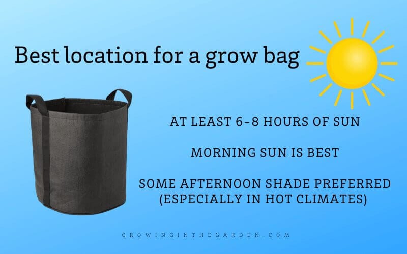 Grow Bag Gardening 5 Tips for Success