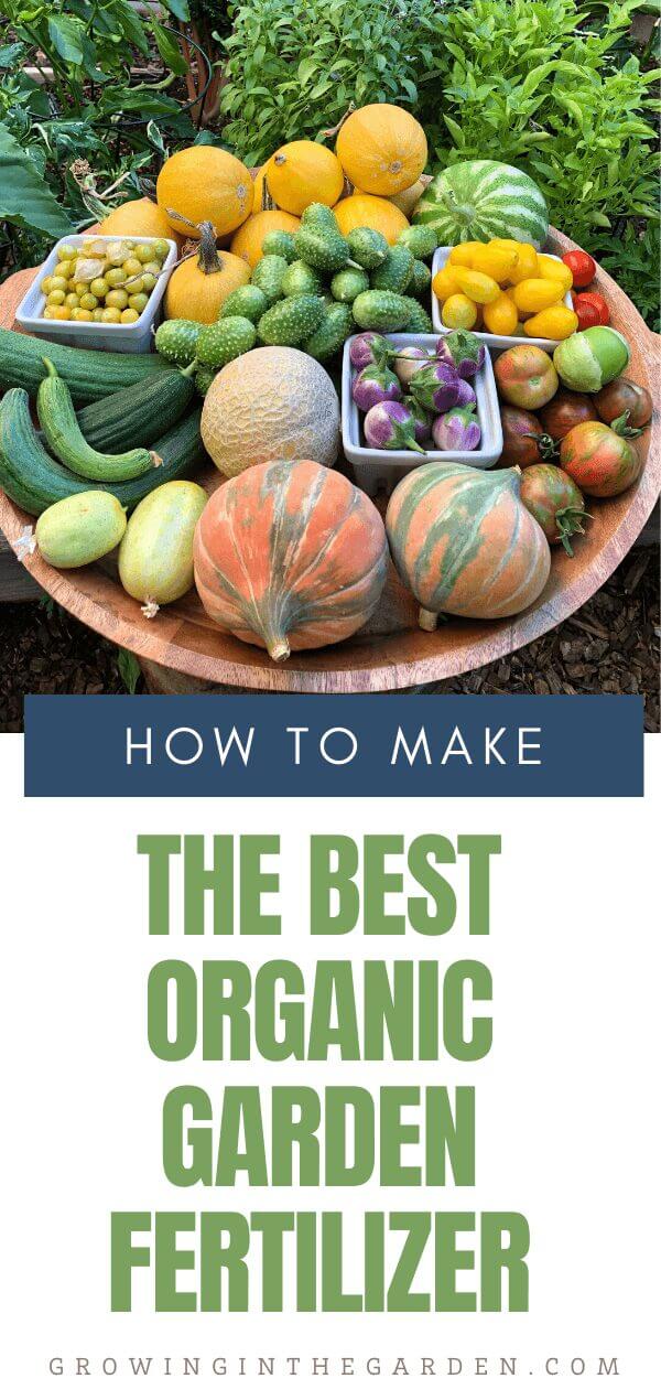 Best Organic Garden Fertilizer