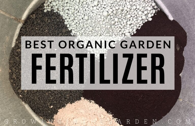 Best Organic Garden Fertilizer featured image