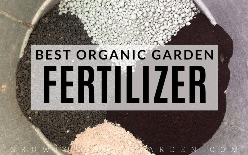 Best Organic Garden Fertilizer