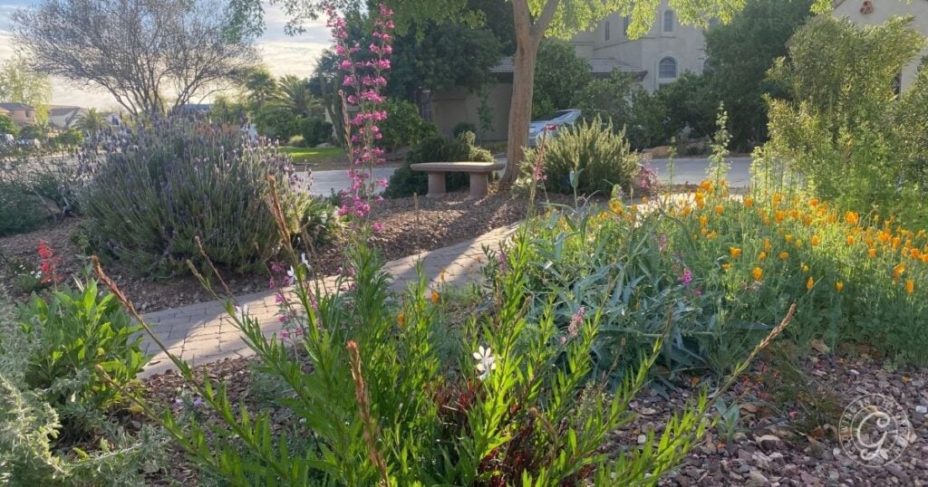 A garden with colorful wildflowers, blooming perennials, green shrubs, and a curved stone bench on a paved path, set in a residential neighborhood on a sunny day—perfect for attracting pollinators.