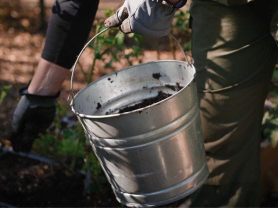 Galvanized Steel Bucket featured image