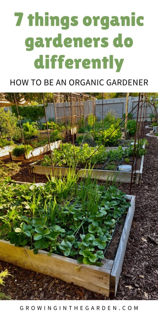 How to be an organic gardener