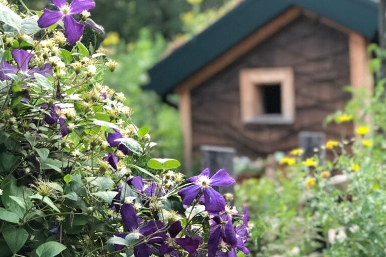 Exploring the Cleveland Botanical Garden and Holden Arboretum featured image