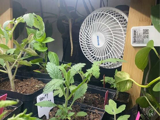 Clip Fan for Seedlings featured image