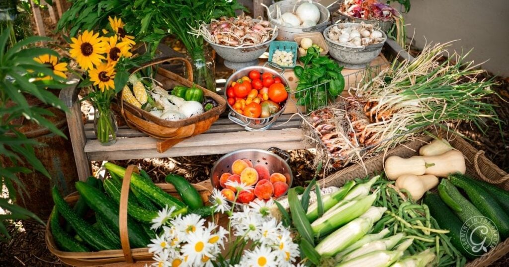 A variety of fresh garden vegetables and flowers, perfect for those interested in how to grow your own food, displayed on a wooden table outdoors.