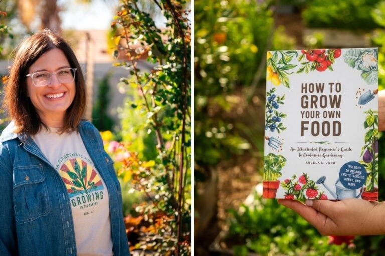 Container Gardening Book for Beginners: Grow Your Own Food featured image